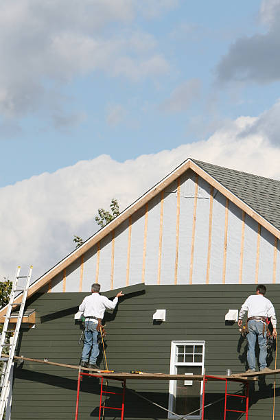 Best Engineered Wood Siding  in Two Harbors, MN